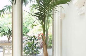 Villas Espléndida - Foto 6