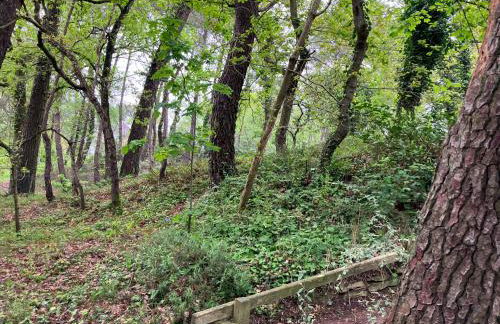 VILLA LE TOUQUET EN FORET - Foto 12