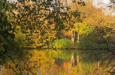 Radstation Menz - Foto 23