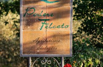 Podere Felceto - Photo 3
