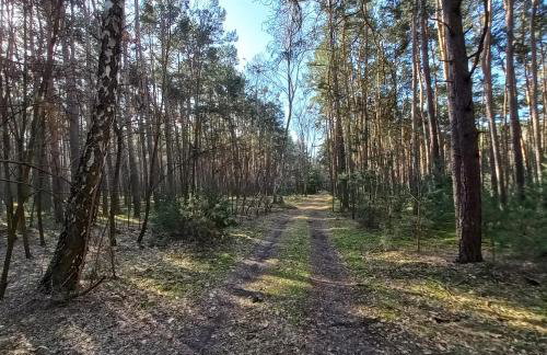 Jeziorskie Zacisze & balia - Foto 27