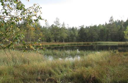 Stollenklause - Foto 61