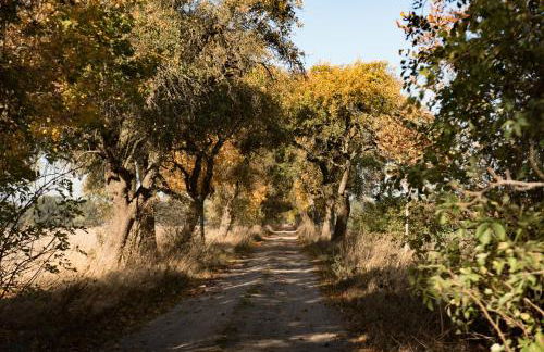 besinndich - Foto 24