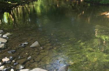 River Run Cottage Modern 2BR Waterfront Retreat in Linville Land Harbor - Foto 46