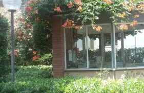 Vacanze romane - Foto 18