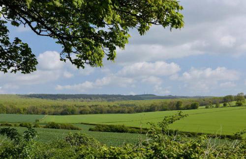 Charming Cottage for 10 in Heart of South Downs - Foto 96