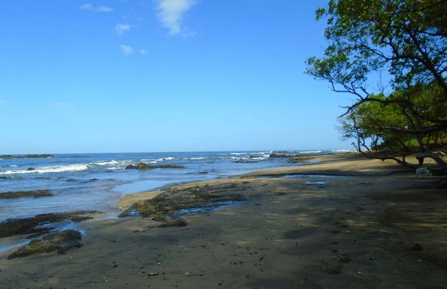 Rita Sonny Tropical Surf Cabina - Foto 12