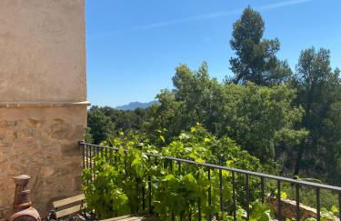 B&B Masia Katmandú - Foto 61