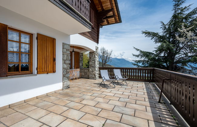 Hérisson - Photo 16