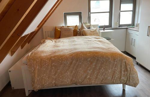 Spessart Oase - Foto 14