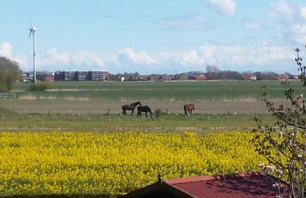 Haus Seestern - Foto 64