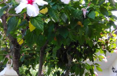 Litto Appartamenti - Photo 19