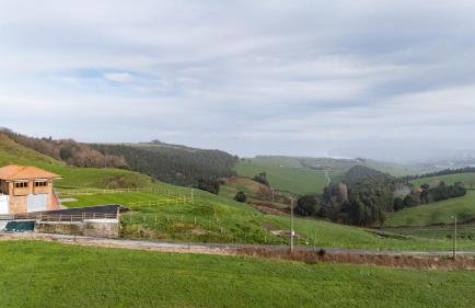 Finca Seles - Photo 10