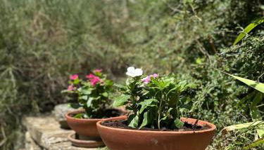 I Poggi di Belvedere - Foto 5