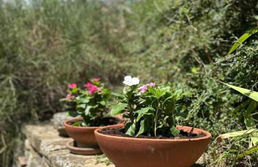 I Poggi di Belvedere - Photo 5