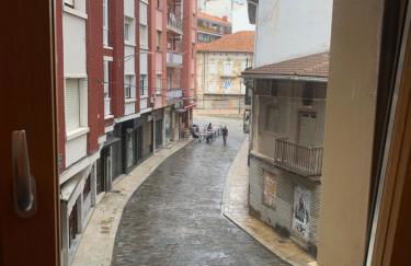 TARASKA BARRIA. Céntrico y coqueto en zona tranquila - Foto 9