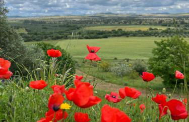 A casa dos Avós - Foto 14