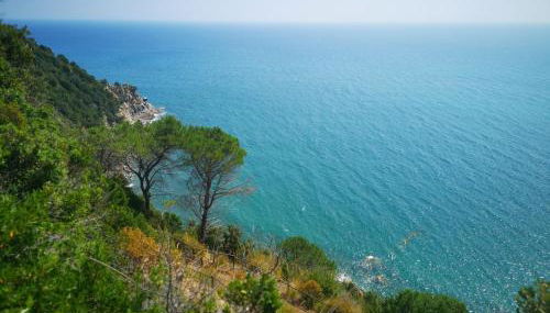 Punta Ala Bilocale Vista Mare 6 Posti Letto! Punta Ala Monolocale Vista Mare 4 Posti Letto! - Foto 2