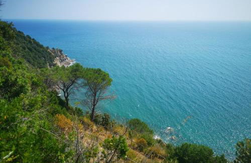 Punta Ala Bilocale Vista Mare 6 Posti Letto! Punta Ala Monolocale Vista Mare 4 Posti Letto! - Foto 2