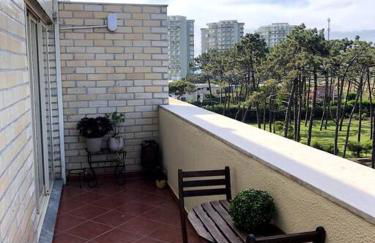 Sea and Pinewood Ofir Apartment - Photo 23