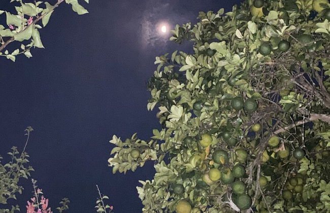 Casa Boutique Remolino - Foto 37