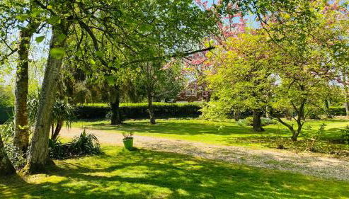 Le tulipier - Foto 3