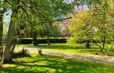 Le tulipier - Foto 3