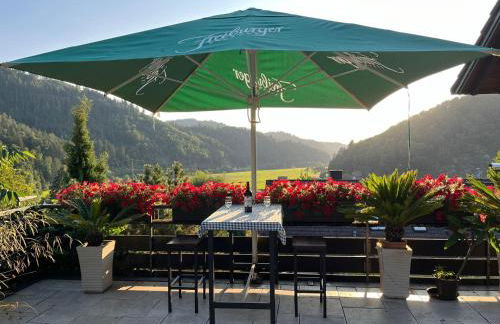 Sonnige Ferienwohnung im Kinzigtal - Foto 1