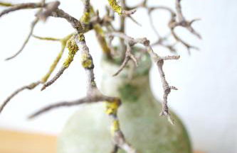 Villas de Aire Country Houses - Foto 22