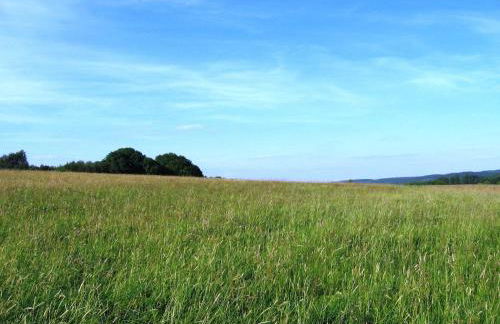 Ferienhaus in Liebenscheid nahe Fuchskaute - Foto 28