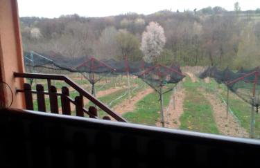 Studio apartman Šafarić - Foto 38