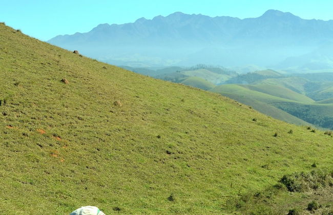 Hotel Fazenda Villa-Forte - Foto 43