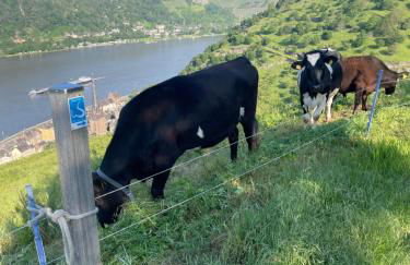 Ferienwohnung Retzbachtal - Foto 11
