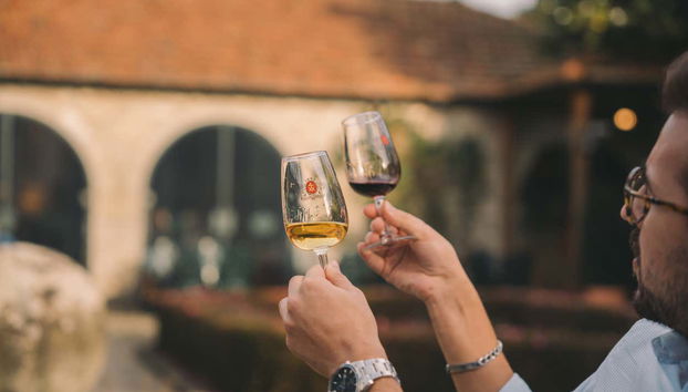 Aprendendo as diferenças dos vinhos