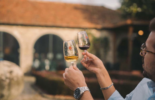 Visita à vinícola Taylor's - Foto 5