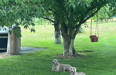 Tawerna Pod Kotwicą pokoje i domy wakacyjne - Foto 30