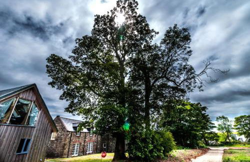 The Boathouse - Foto 9