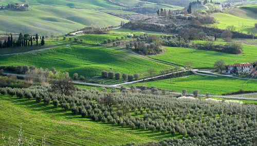 Appartamento il castellare - Foto 2