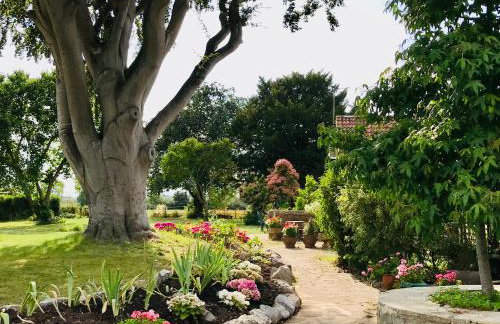 Octon Cottages Luxury 1 and 2 Bedroom cottages 1 mile from Taunton centre - Foto 78