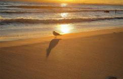 Eine schöne 3-Zimmer-Wohnung mit Ostsee-Zugang! - Foto 23