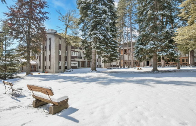 Comfort Tra Fiume E Pini - Foto 34