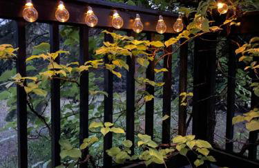 Kaszubski Zakątek Niesiołowice - Foto 12