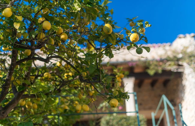 Can Furios Hotel by Can Calco Hotels - Foto 113