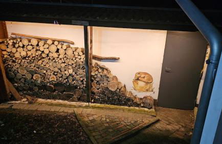 Schwedenhaus in Sandhatten - Foto 34