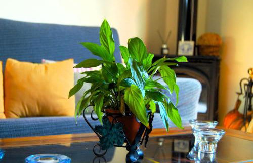 Finca La Majadera - Foto 57