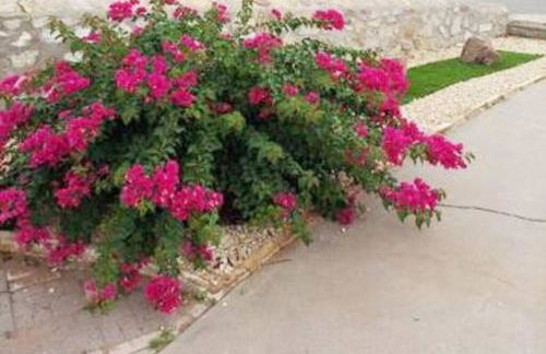 My Cozy Duplex B in the heart of West Side - Foto 38