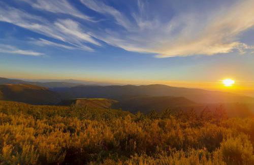 Lar da cima - Foto 16