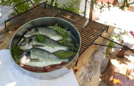 Apartments Toplak - Foto 16