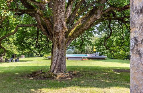Exceptional XVIICastle in Dordogne Golden Triangle - Foto 52