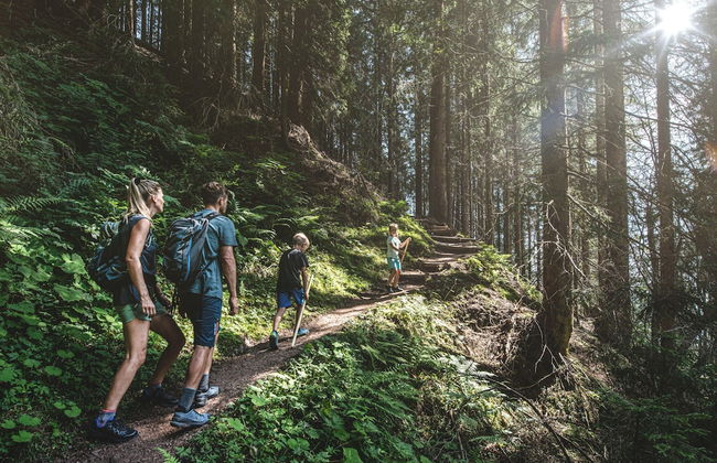 Apartment in Saalfelden Near Ski Slopes - Foto 27